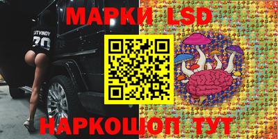 2c-b Канаш