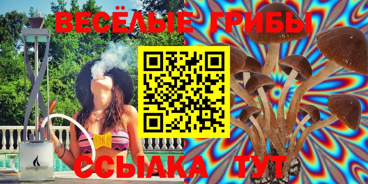 Псилоцибиновые грибы Psilocybine cubensis Кстово