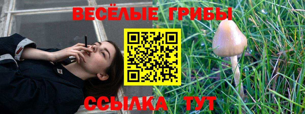 Галлюциногенные грибы Psilocybine cubensis  Вход с VPN  Псилоцибиновые грибы ЛСД  Кстово 