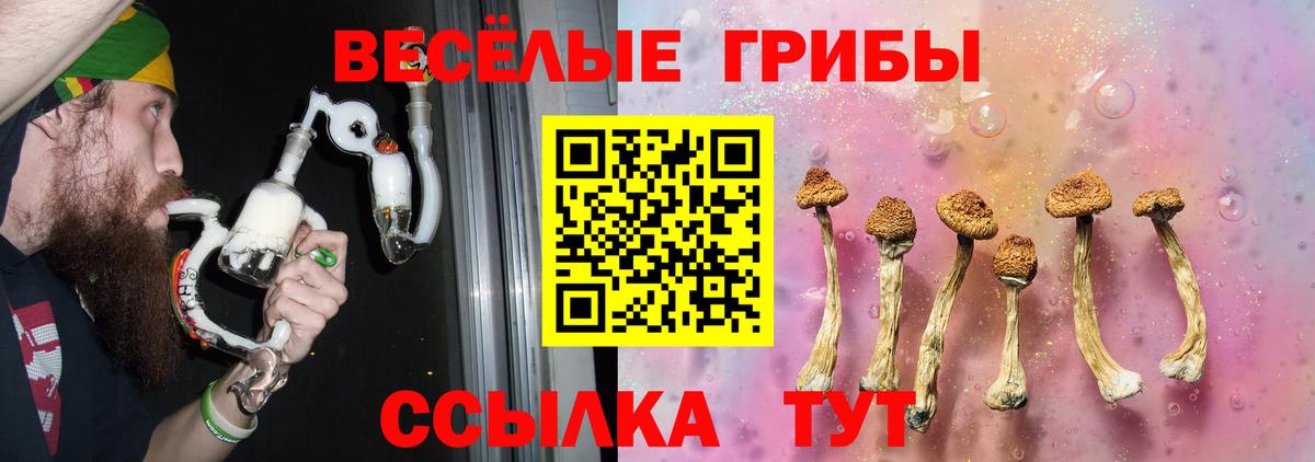 Галлюциногенные грибы Кстово